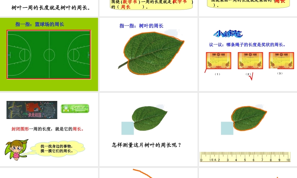 人教版小学数学三年级周长认识.ppt