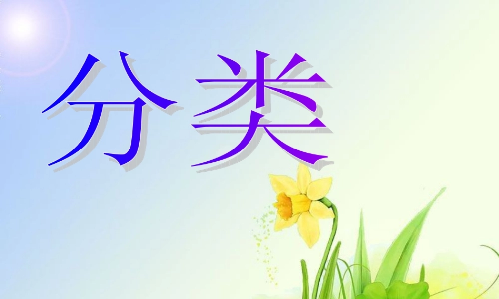 人教版一年级分类课件.ppt