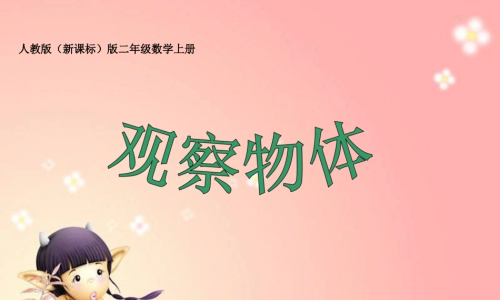 人教新课标版二年级数学上册 观察物体 课件.ppt