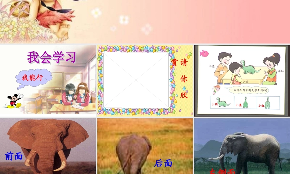 人教新课标版二年级数学上册 观察物体 课件.ppt