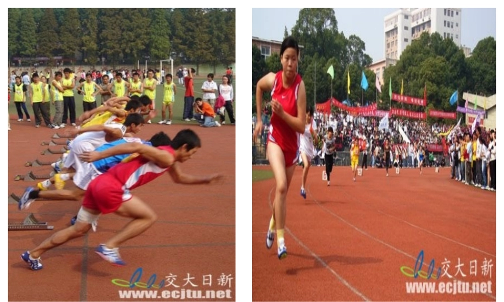 人教新课标六年级上 确定起跑线 PPT.ppt