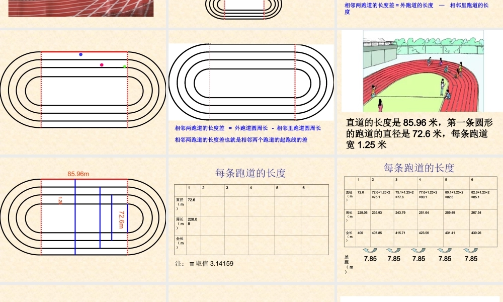 人教六年级上确定起跑线.ppt