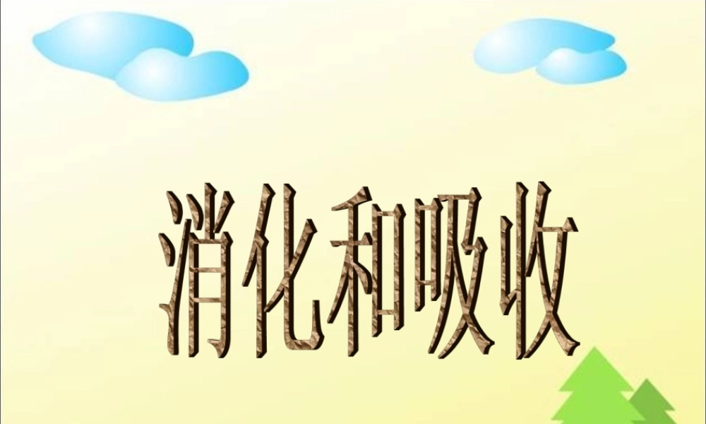 人教新课标版初中七下4[1].2.2消化和吸收ppt课件2.ppt