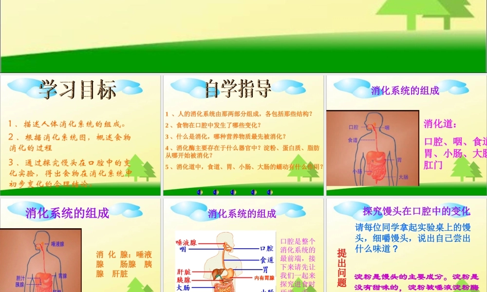 人教新课标版初中七下4[1].2.2消化和吸收ppt课件2.ppt