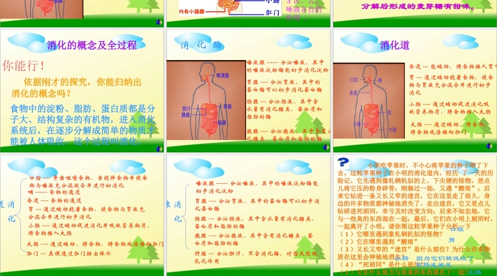 人教新课标版初中七下4[1].2.2消化和吸收ppt课件2.ppt