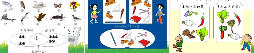 人教新课标（标准实验版）三年级上册 9 数学广角 —集合.ppt