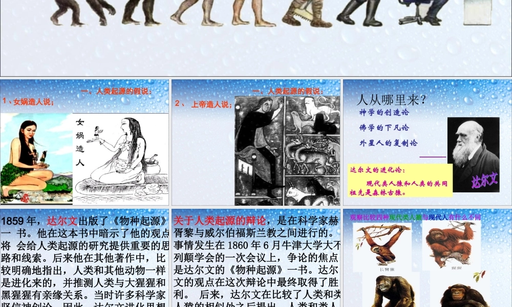 人类的起源和发展.ppt