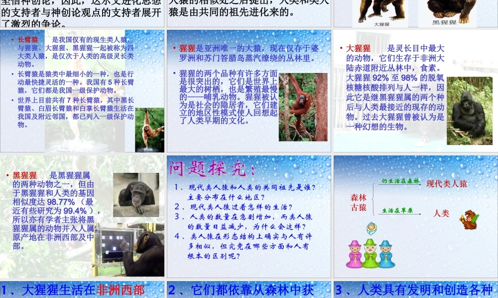 人类的起源和发展.ppt