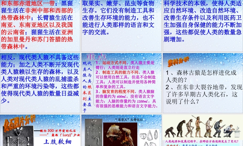 人类的起源和发展.ppt