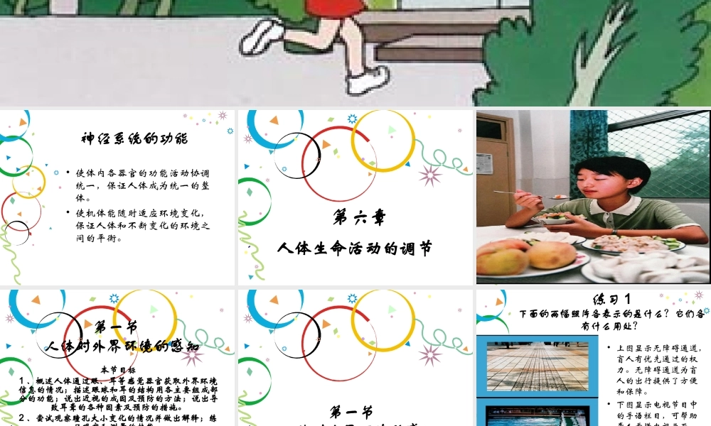 人体对外界环境的感知.ppt