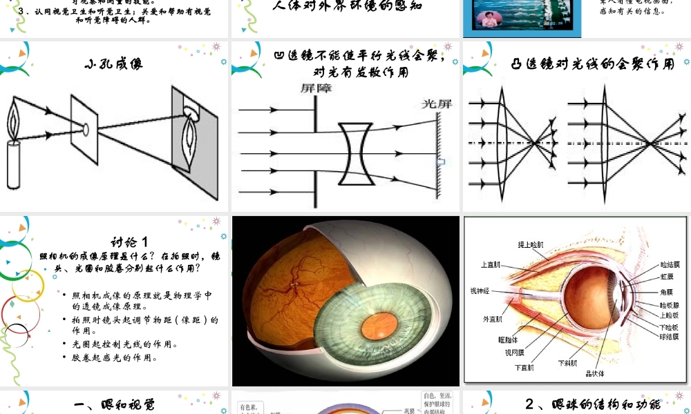 人体对外界环境的感知.ppt