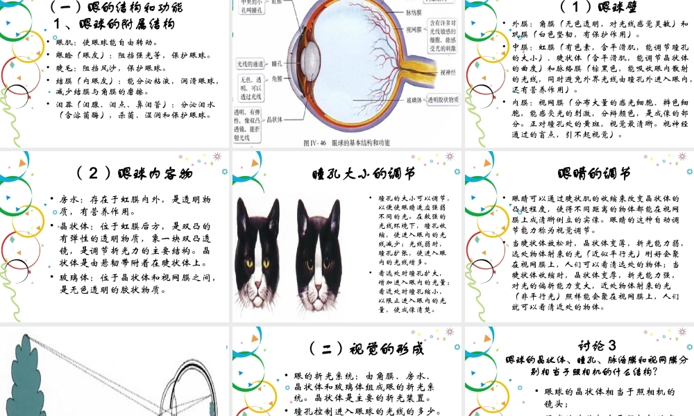 人体对外界环境的感知.ppt