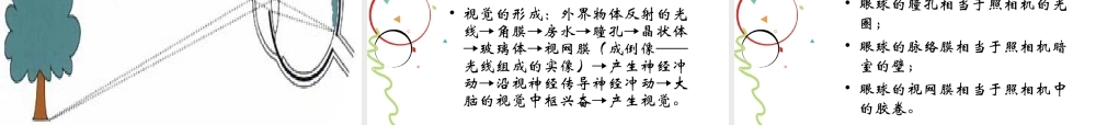 人体对外界环境的感知.ppt