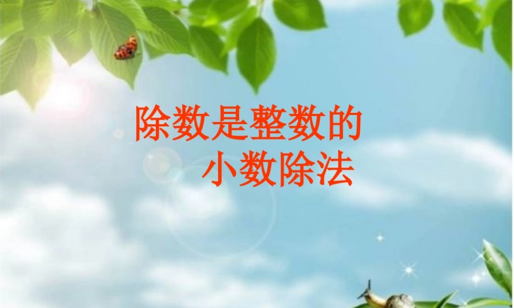 人教新课标五年级数学5.3除数是整数的小数除法课件.ppt