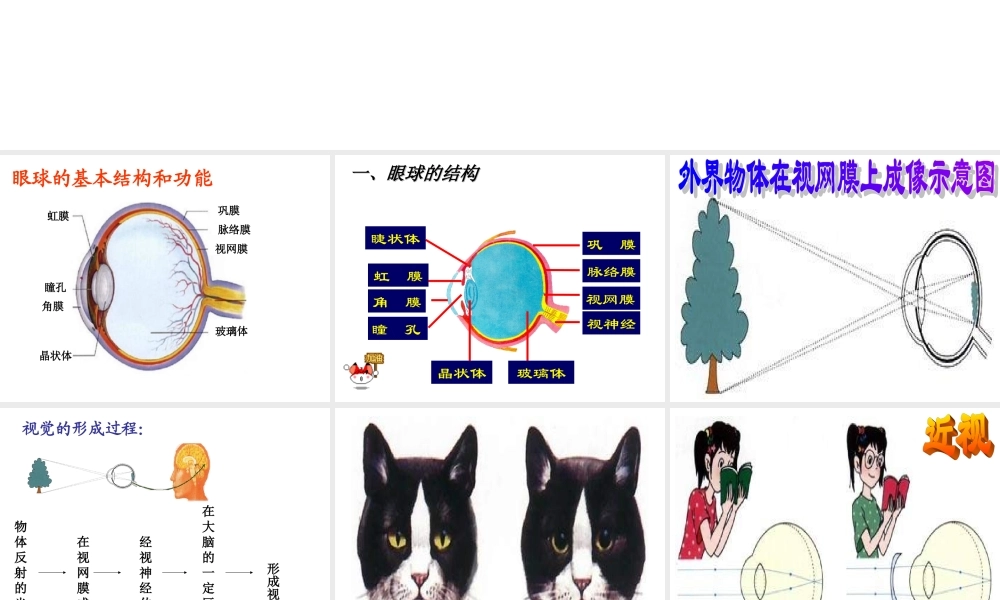 人体对外界环境的感知课件.ppt