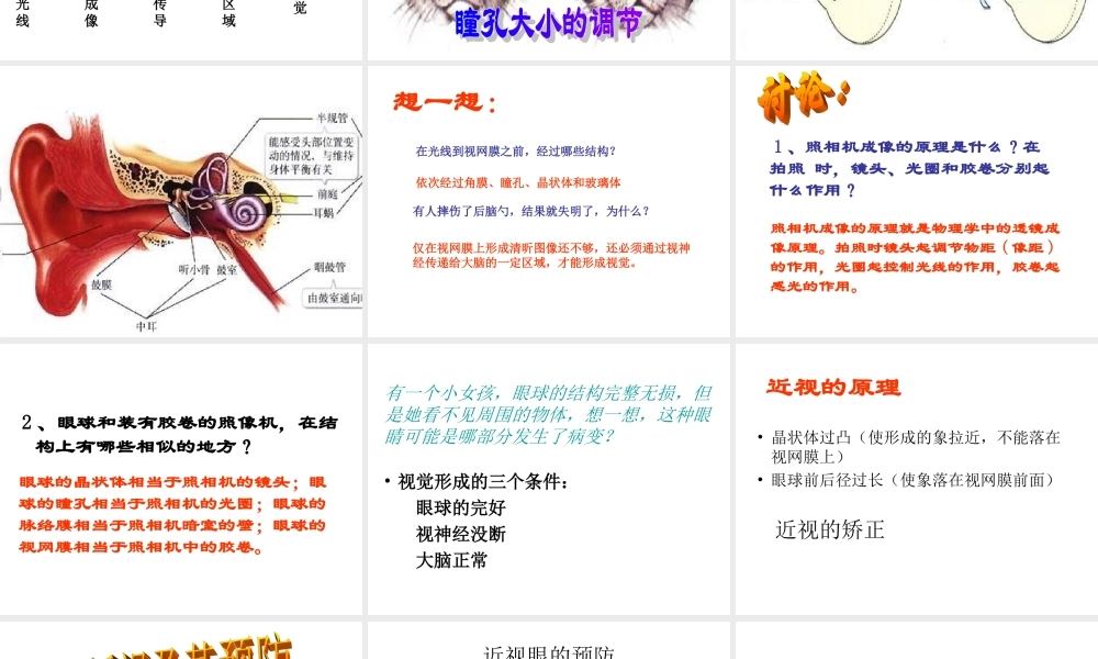 人体对外界环境的感知课件.ppt