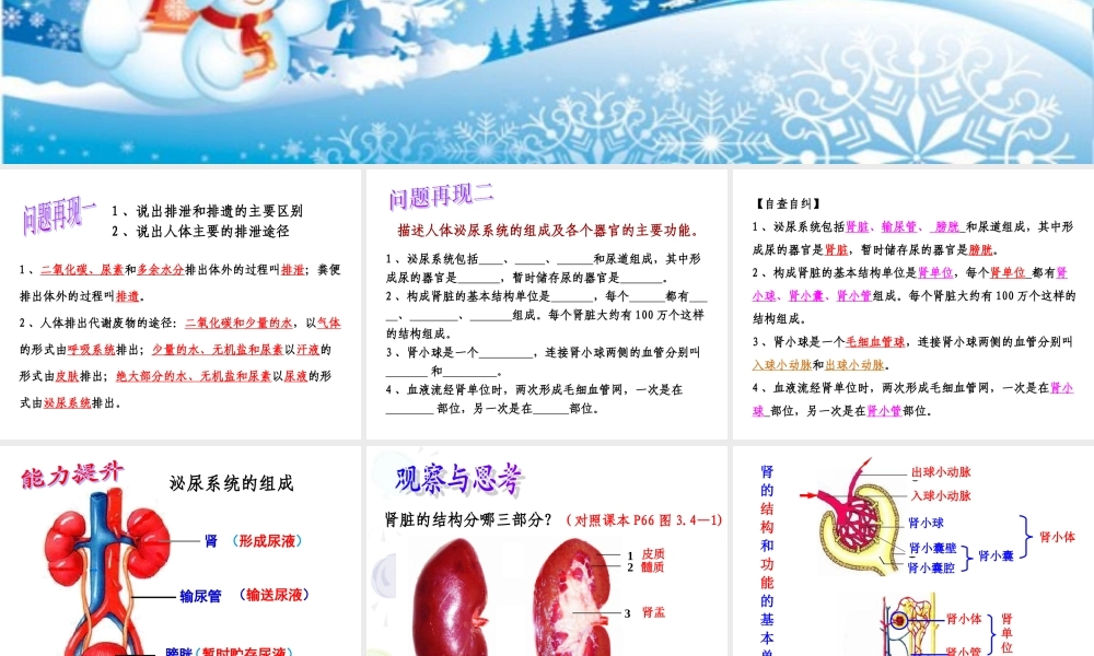 人体内废物的排出.ppt