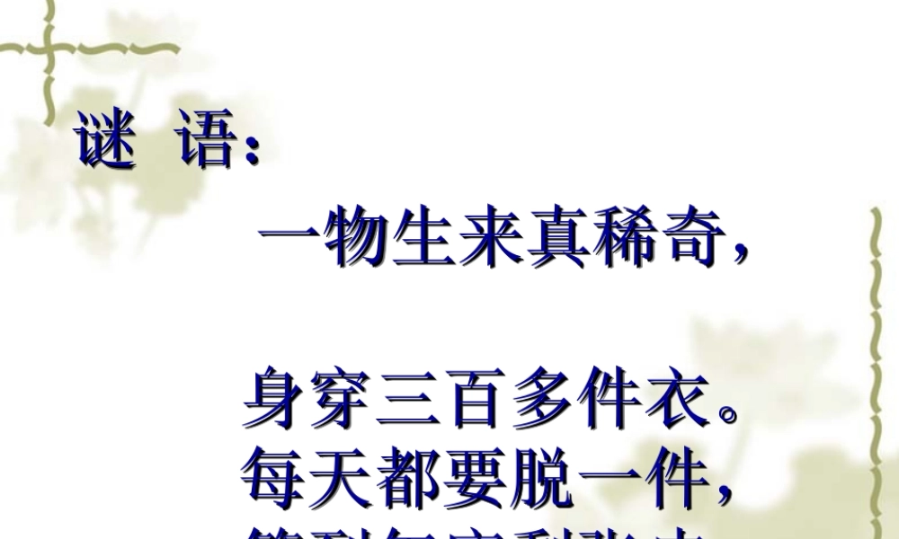 三年级下册数学年_月_日.ppt