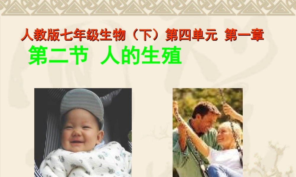生物：1.2《人的生殖》课件(人教版七年级下).ppt