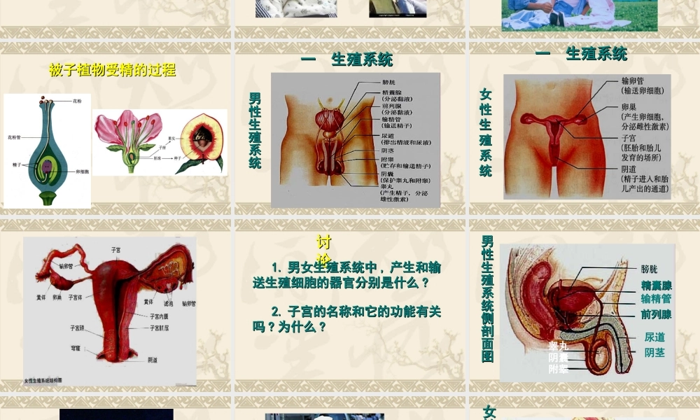 生物：1.2《人的生殖》课件(人教版七年级下).ppt