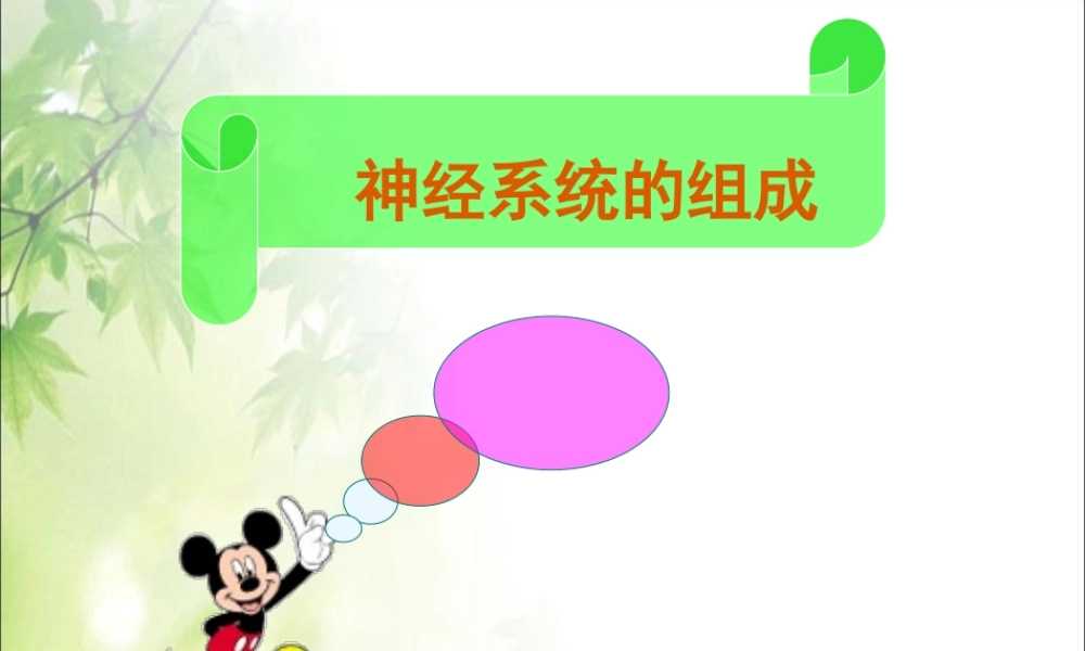 神经系统的组成2.ppt