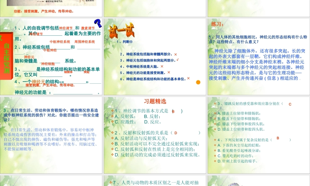 神经系统的组成2.ppt