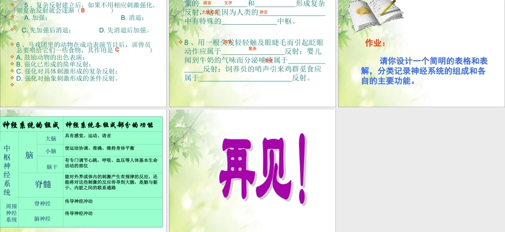 神经系统的组成2.ppt