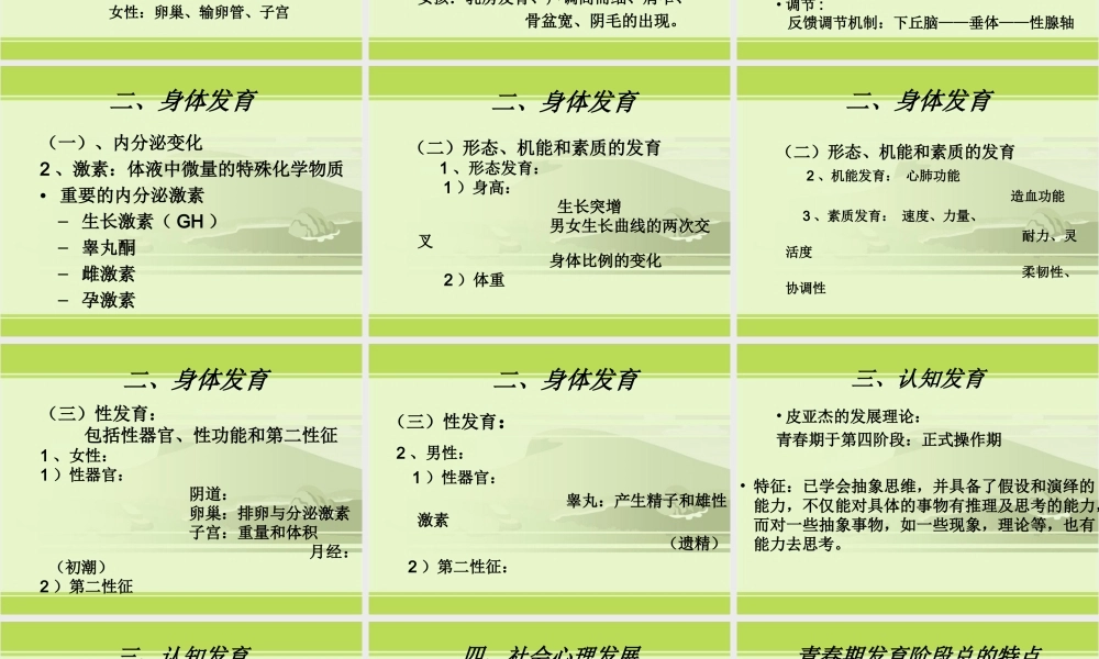 生物：1.3《青春期》课件2(人教版七年级下).ppt