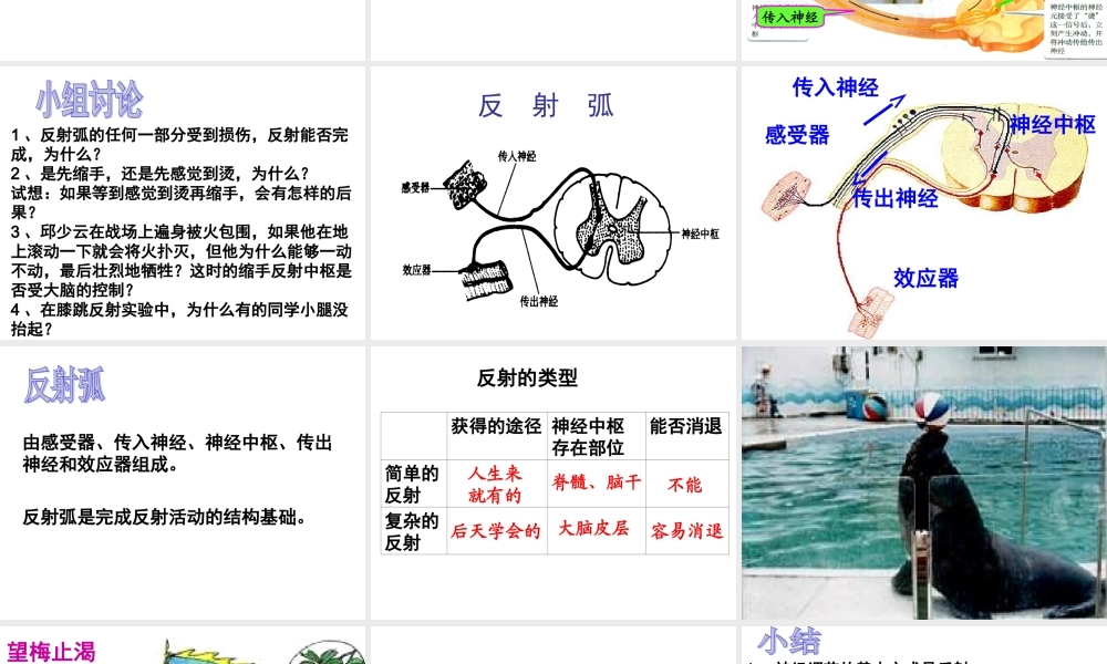 神经调节的基本方式课件.ppt