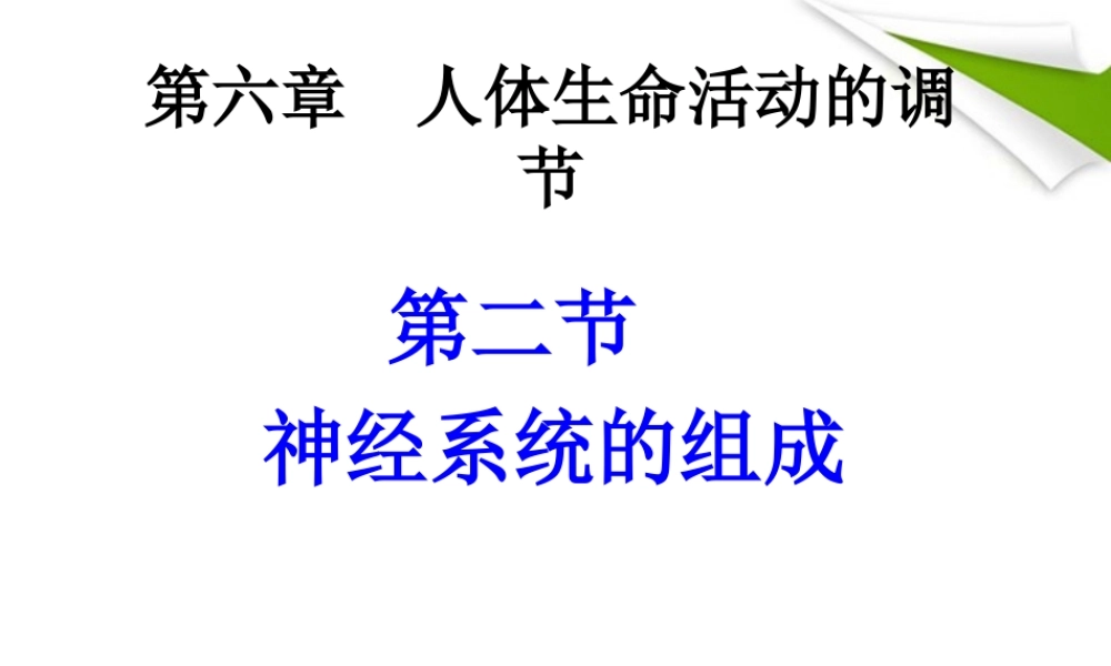 神经系统的组成 (1).ppt