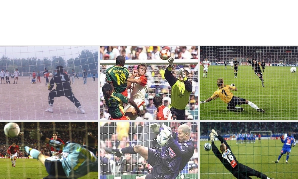 神经系统的组成 (1).ppt