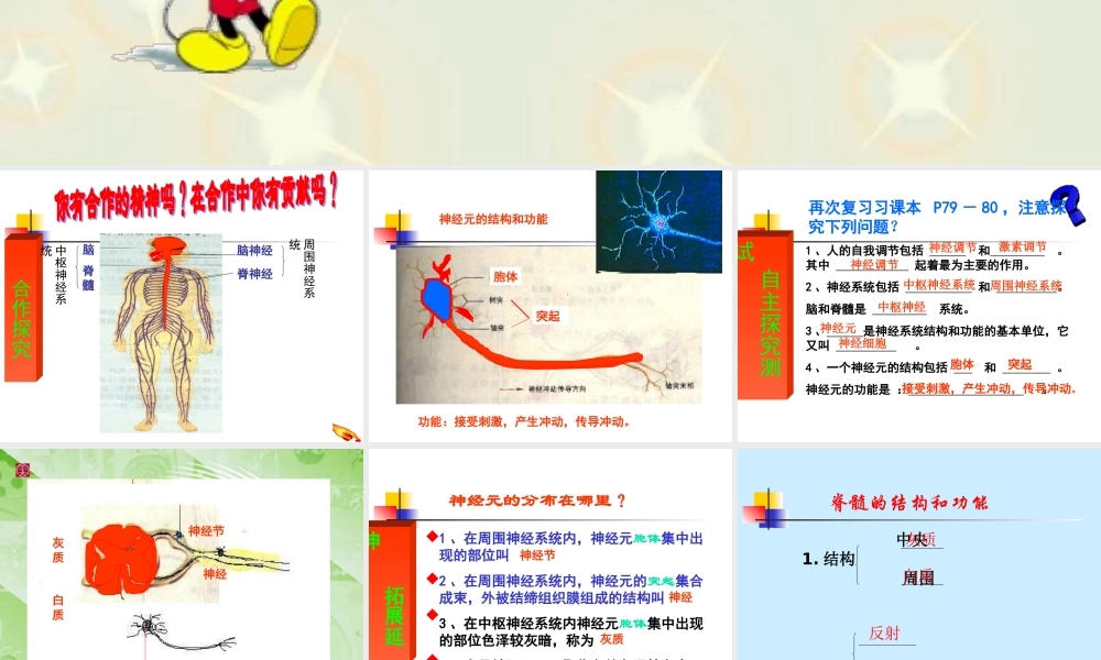神经调节的基本方式(第一课时).ppt