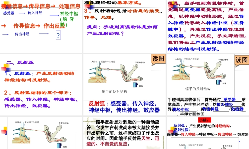 神经调节的基本方式(第一课时).ppt