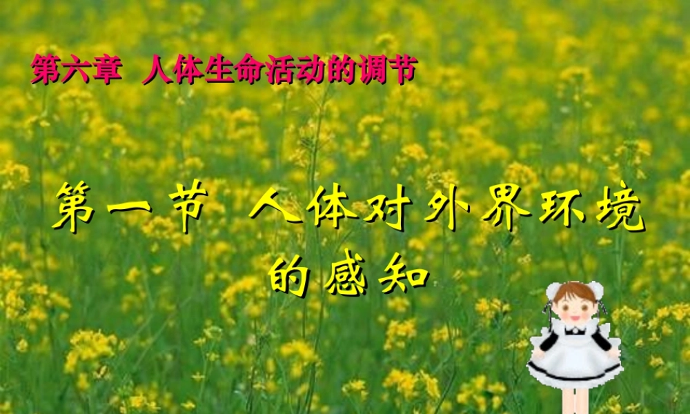 生物：第6章第1节人体对外界环境的感知课件2(人教版七年级下).ppt