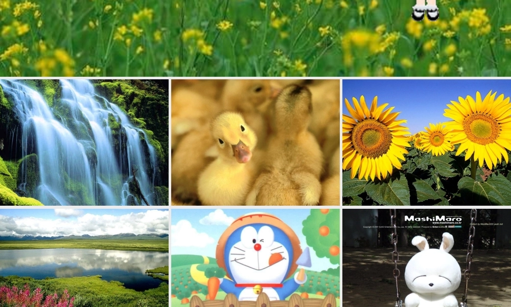 生物：第6章第1节人体对外界环境的感知课件2(人教版七年级下).ppt