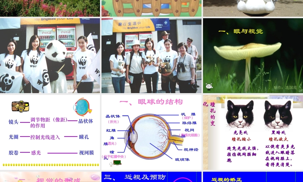 生物：第6章第1节人体对外界环境的感知课件2(人教版七年级下).ppt