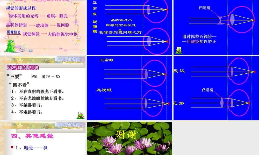 生物：第6章第1节人体对外界环境的感知课件2(人教版七年级下).ppt