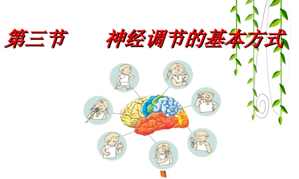 神经调节的基本方式.ppt