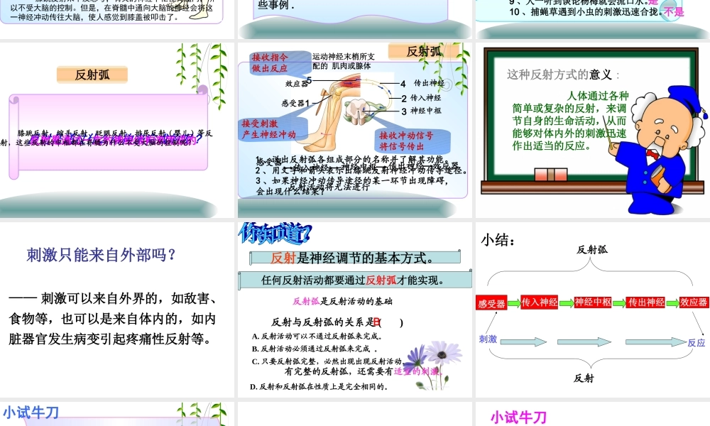 神经调节的基本方式.ppt