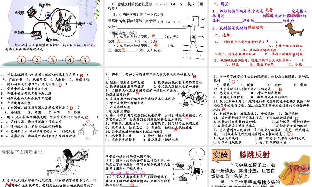 神经调节的基本方式.ppt