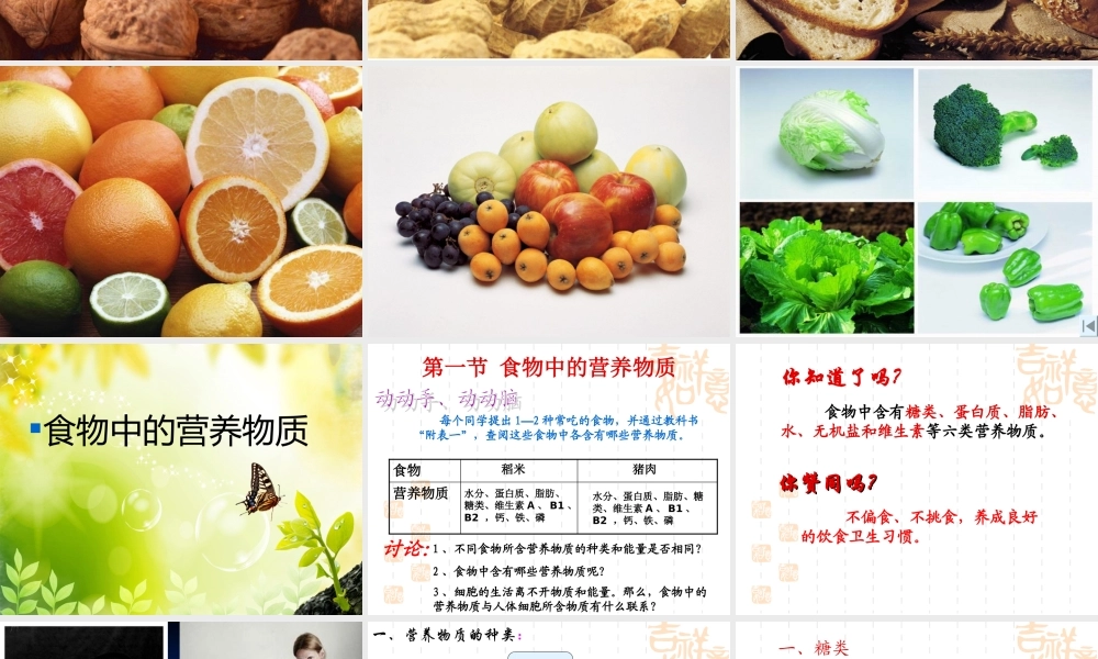 食物中的营养物质.ppt