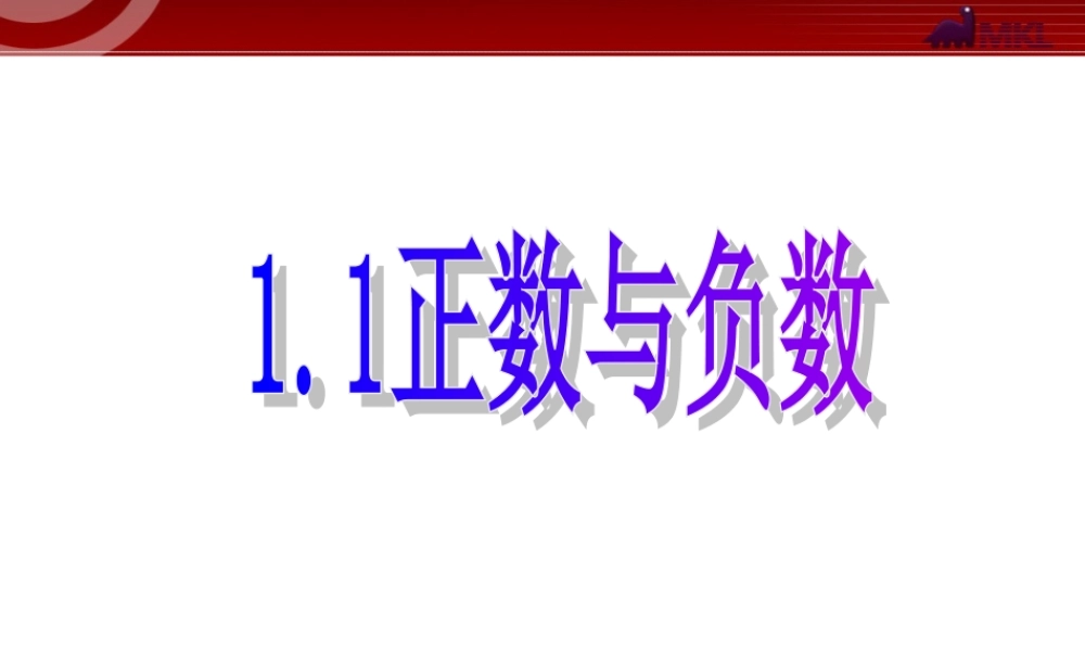 数学：1.1正数和负数课件2（人教新课标七年级上）.ppt