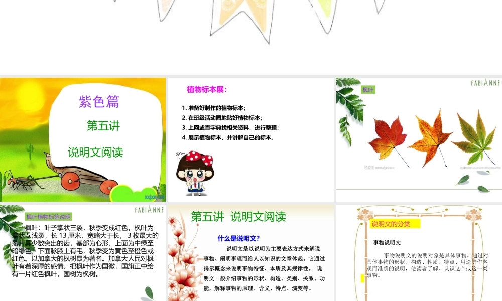 说明文阅读一.ppt -.ppt