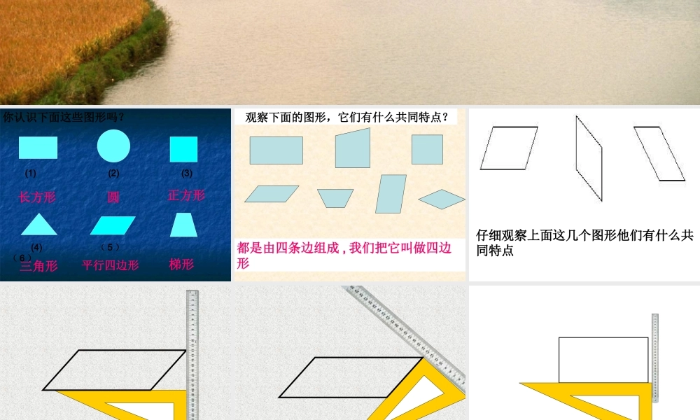 四年级《平行四边形和梯形的认识》PPT课件.ppt