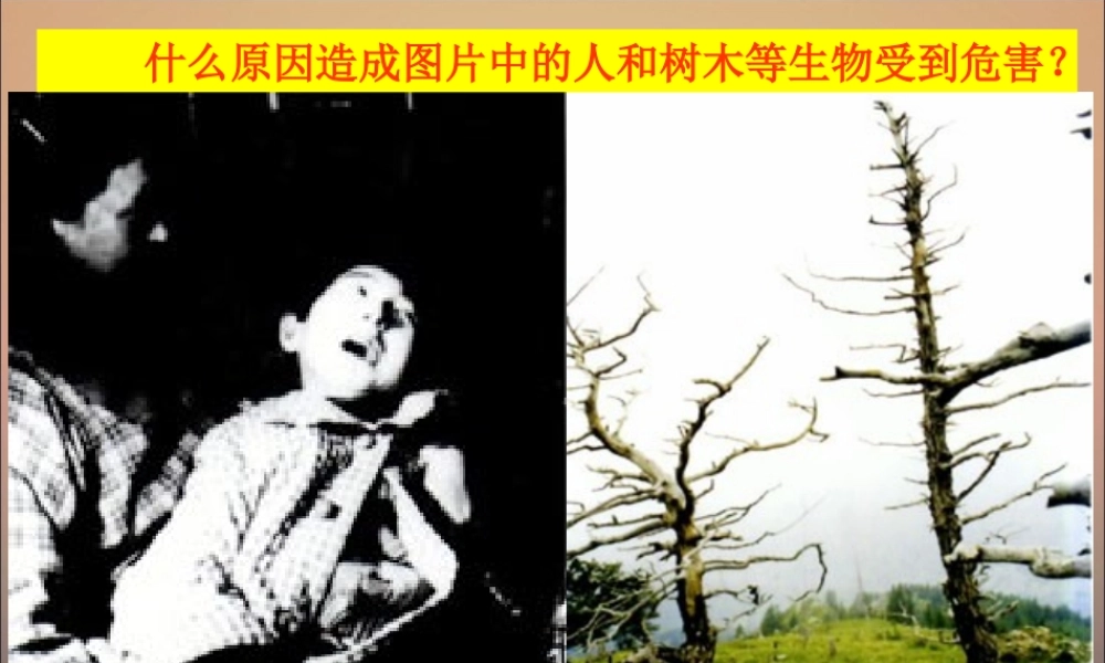 探究环境污染对生物的影响成稿.ppt