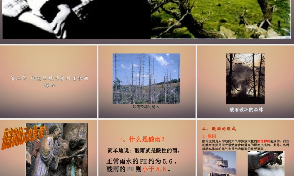 探究环境污染对生物的影响成稿.ppt