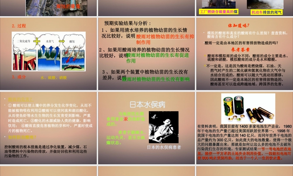 探究环境污染对生物的影响成稿.ppt