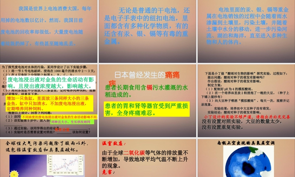 探究环境污染对生物的影响成稿.ppt