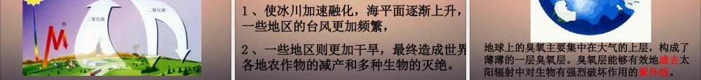 探究环境污染对生物的影响成稿.ppt