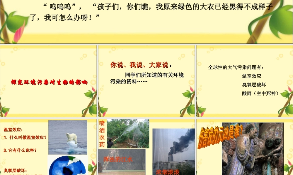 探究环境污染对生物的影响课件.ppt